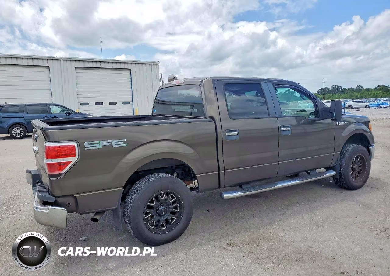 2009 Ford F150 Supercrew VIN:1FTRW12869FA86715 - 3