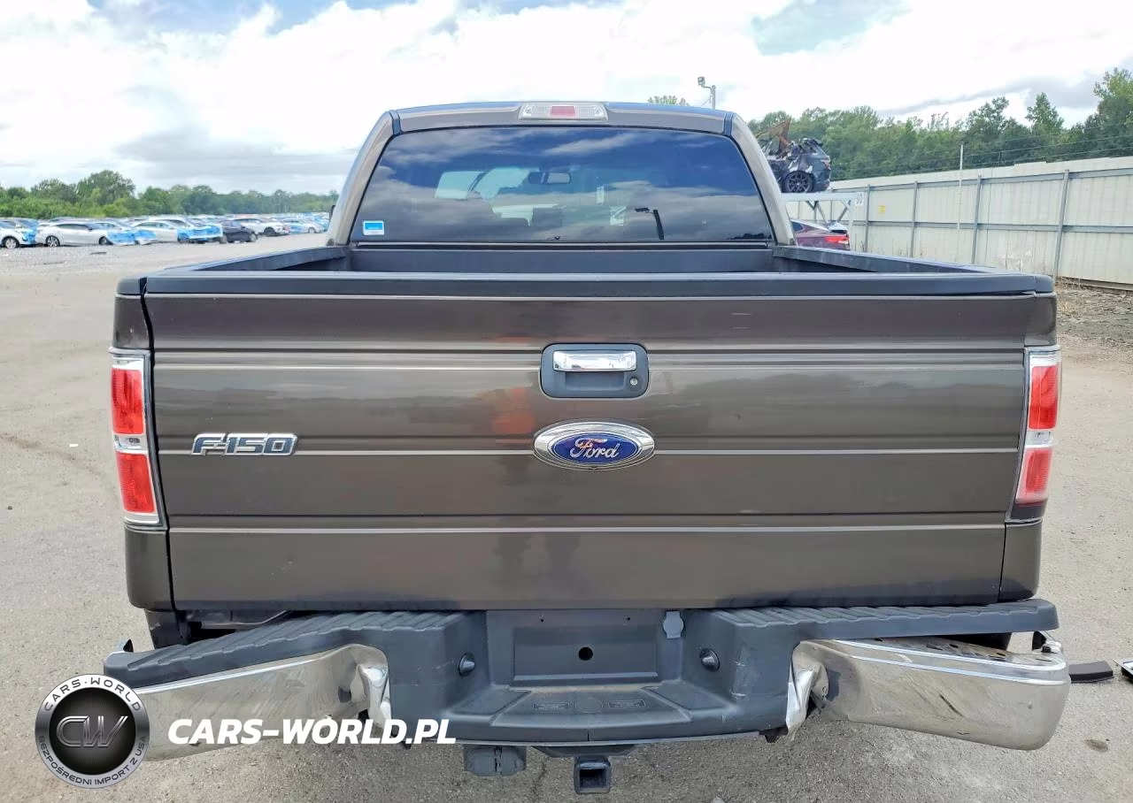2009 Ford F150 Supercrew VIN:1FTRW12869FA86715 - 6