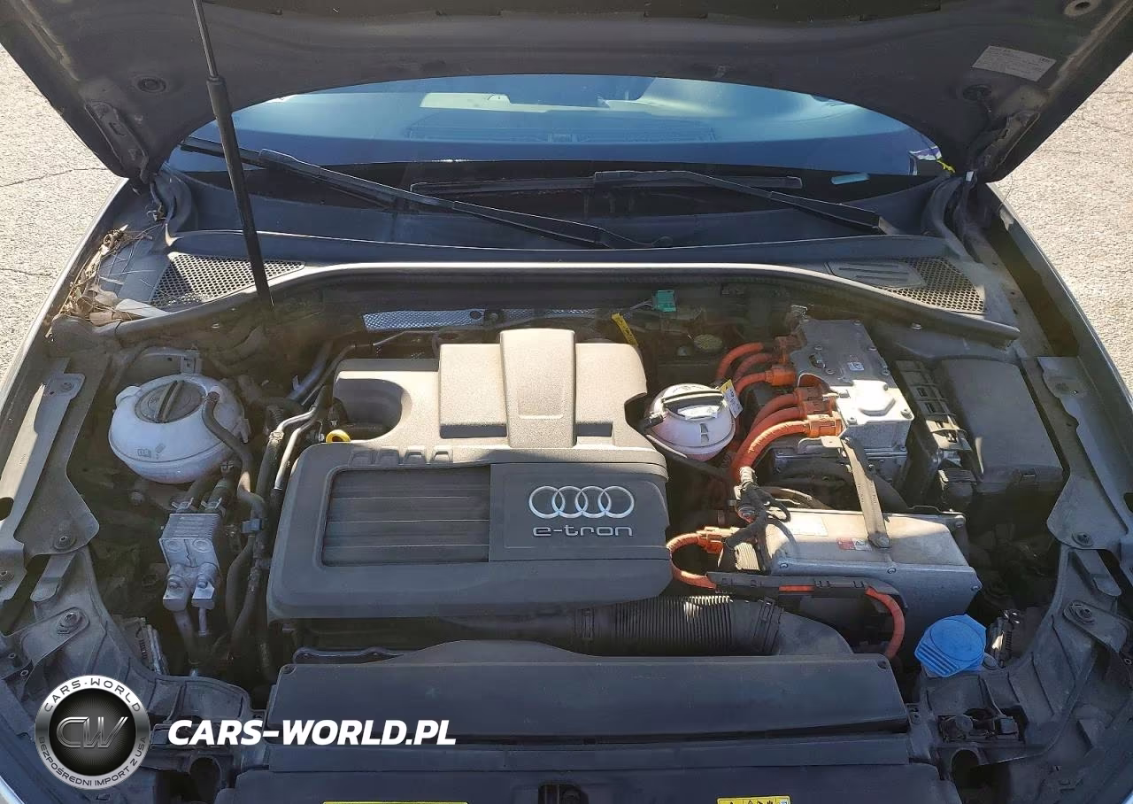 2017 Audi A3 E-Tron Premium Plus VIN:WAUTPBFF0HA036421 - 11