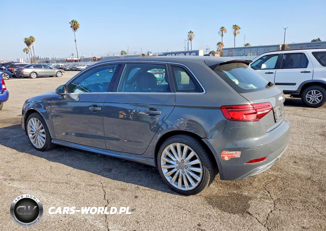 2017 Audi A3 E-Tron Premium Plus VIN:WAUTPBFF0HA036421 - 2