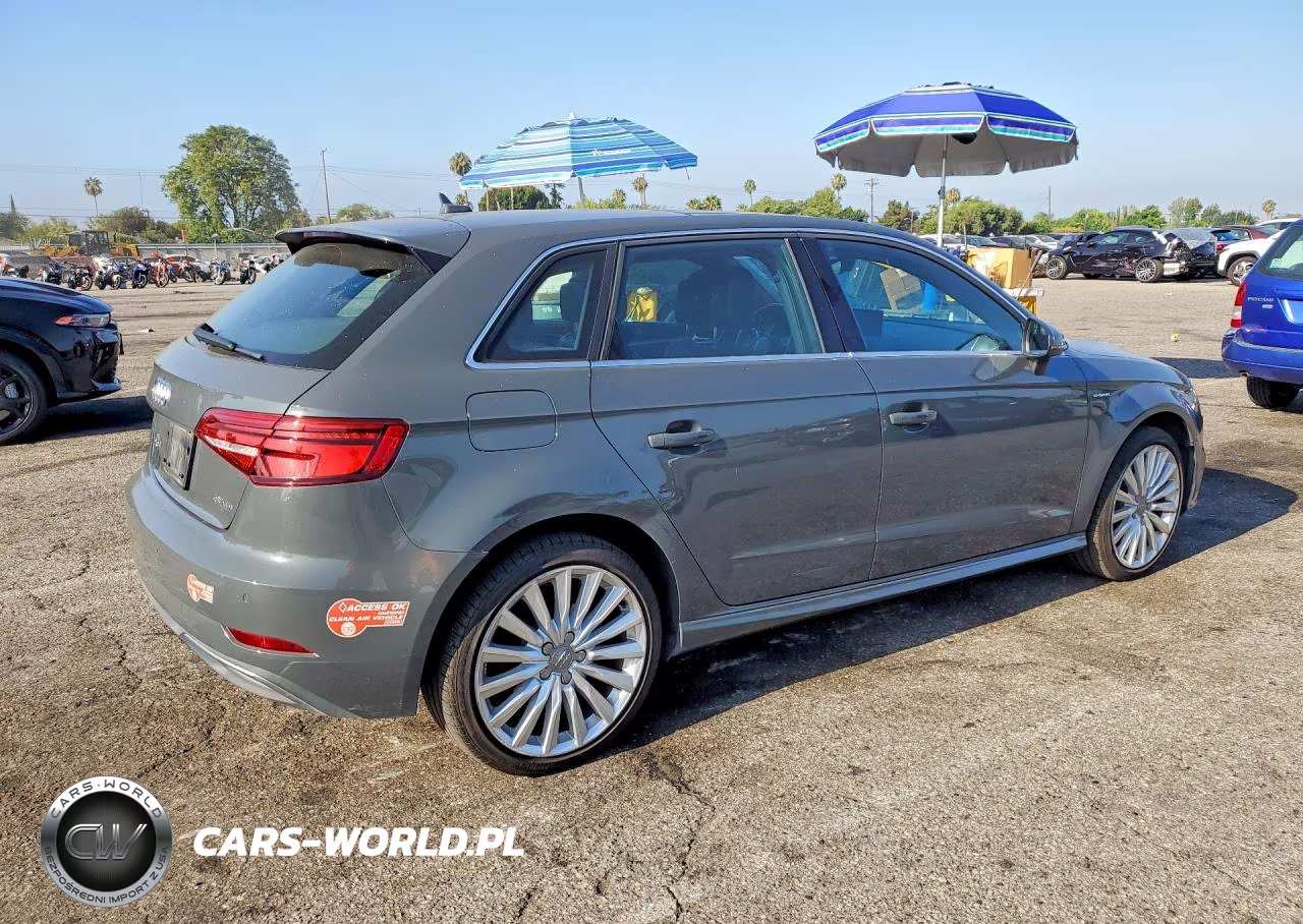 2017 Audi A3 E-Tron Premium Plus VIN:WAUTPBFF0HA036421 - 3