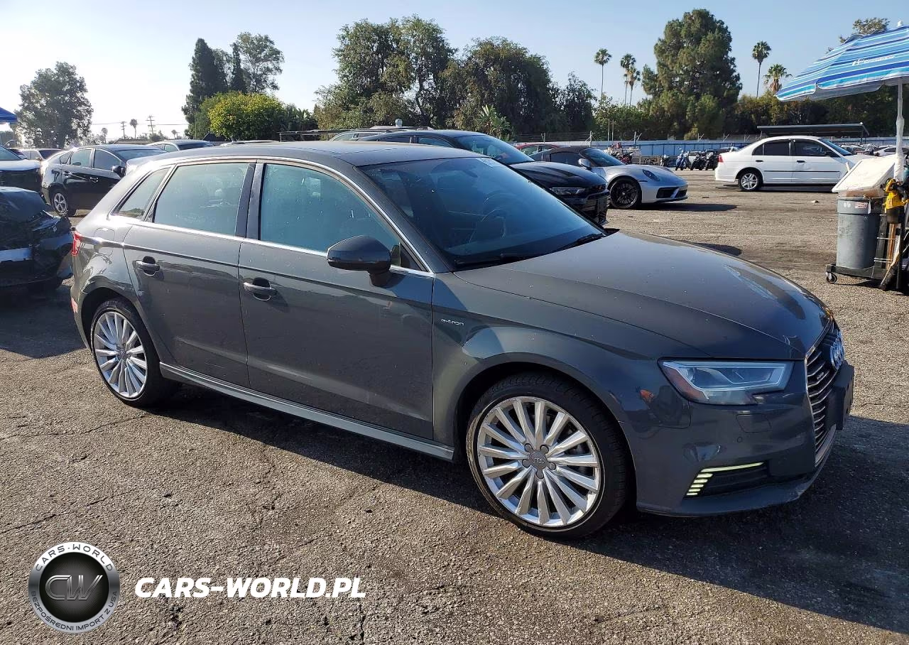 2017 Audi A3 E-Tron Premium Plus VIN:WAUTPBFF0HA036421 - 4