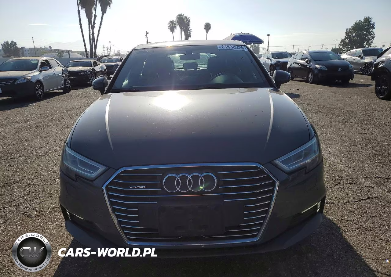 2017 Audi A3 E-Tron Premium Plus VIN:WAUTPBFF0HA036421 - 5
