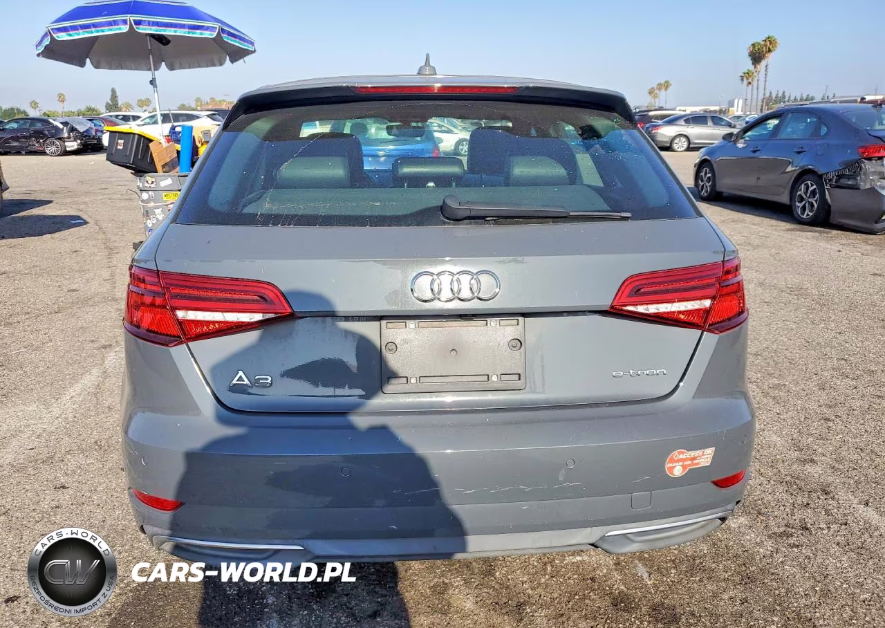 2017 Audi A3 E-Tron Premium Plus VIN:WAUTPBFF0HA036421 - 6