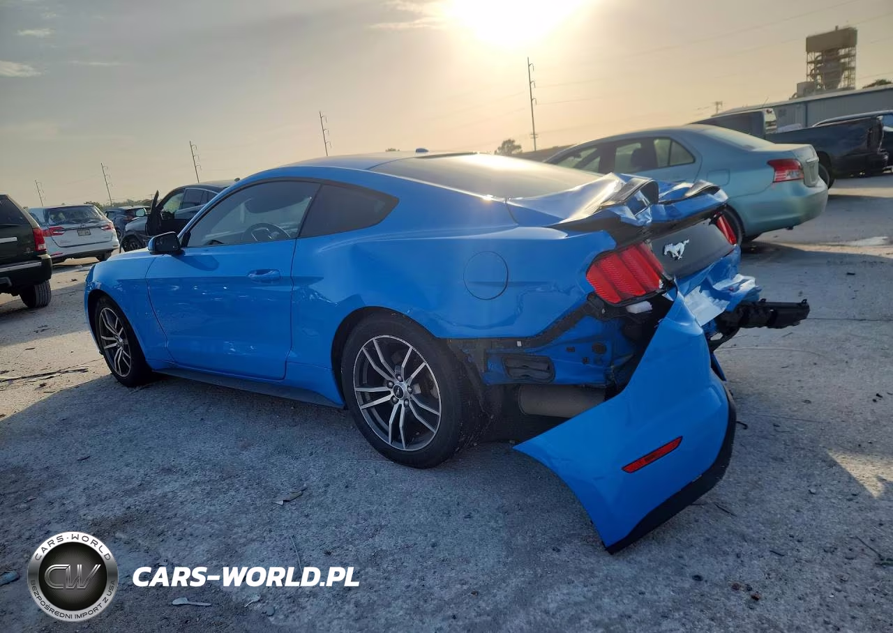 2017 Ford Mustang VIN:1FA6P8TH5H5282033 - 2