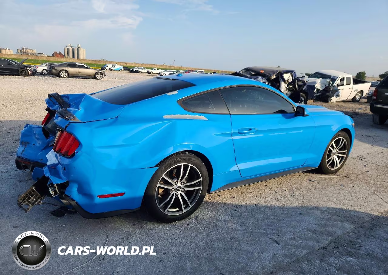 2017 Ford Mustang VIN:1FA6P8TH5H5282033 - 3