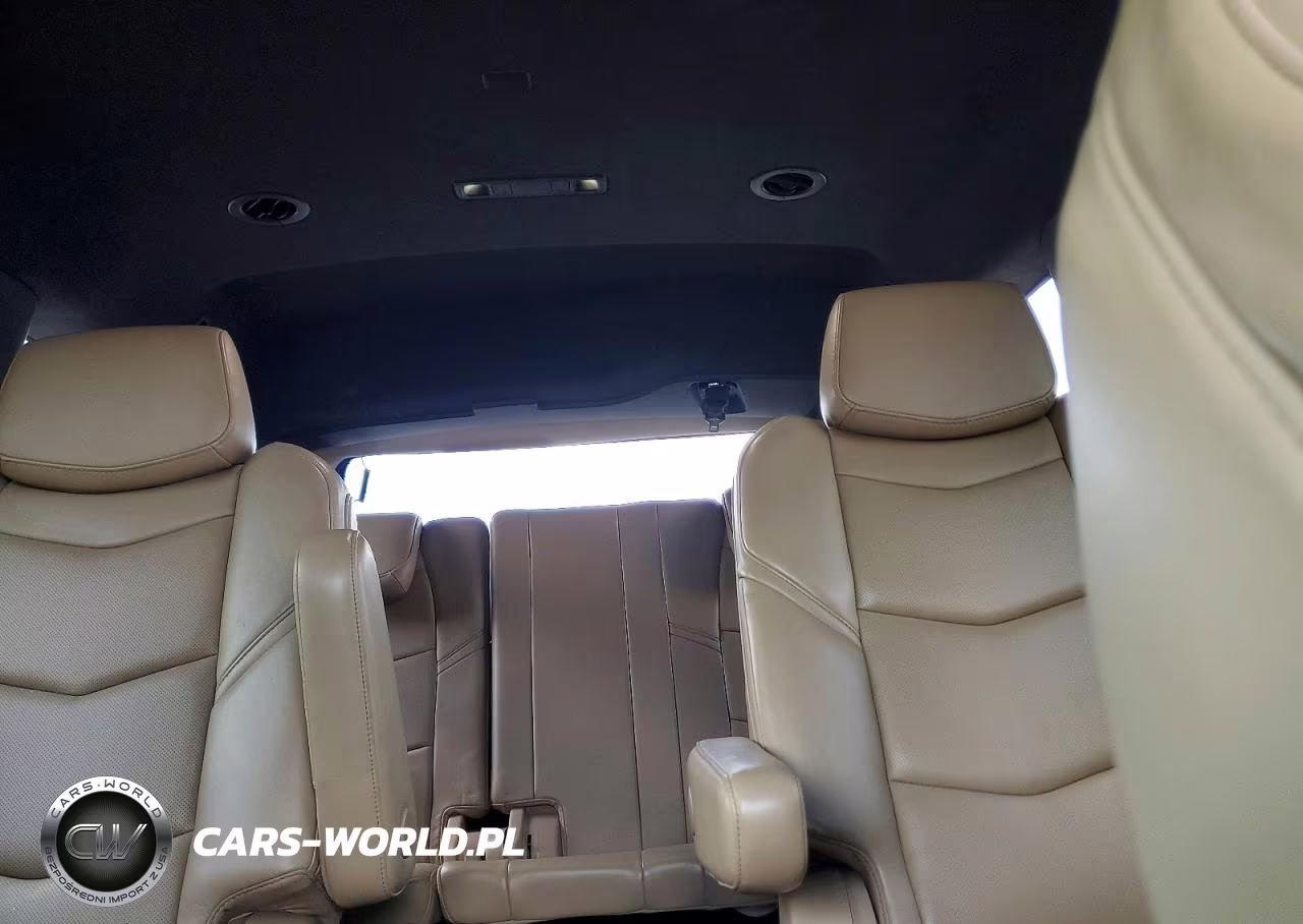 2019 Cadillac Escalade Platinum VIN:1GYS4DKJ3KR301770 - 10