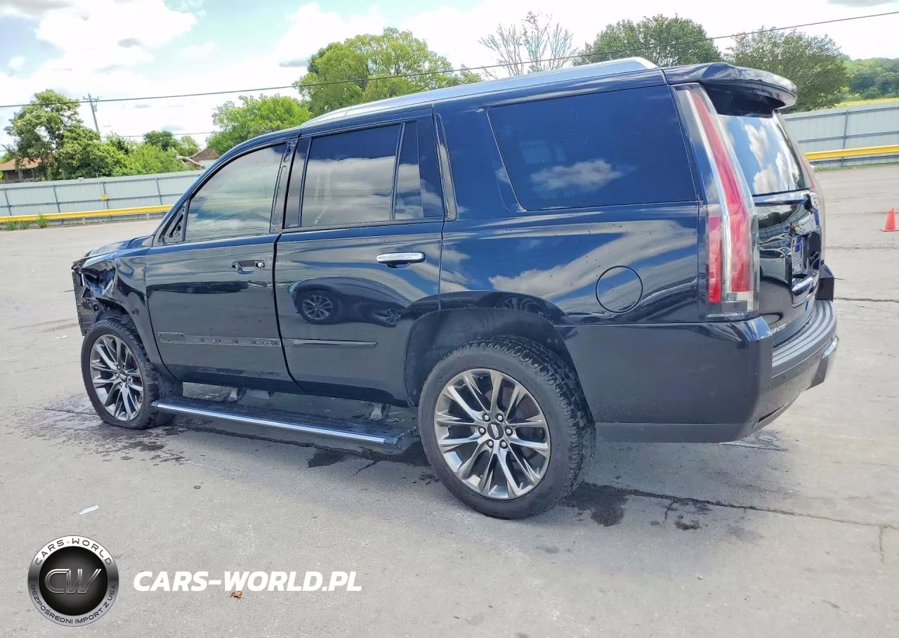 2019 Cadillac Escalade Platinum VIN:1GYS4DKJ3KR301770 - 2