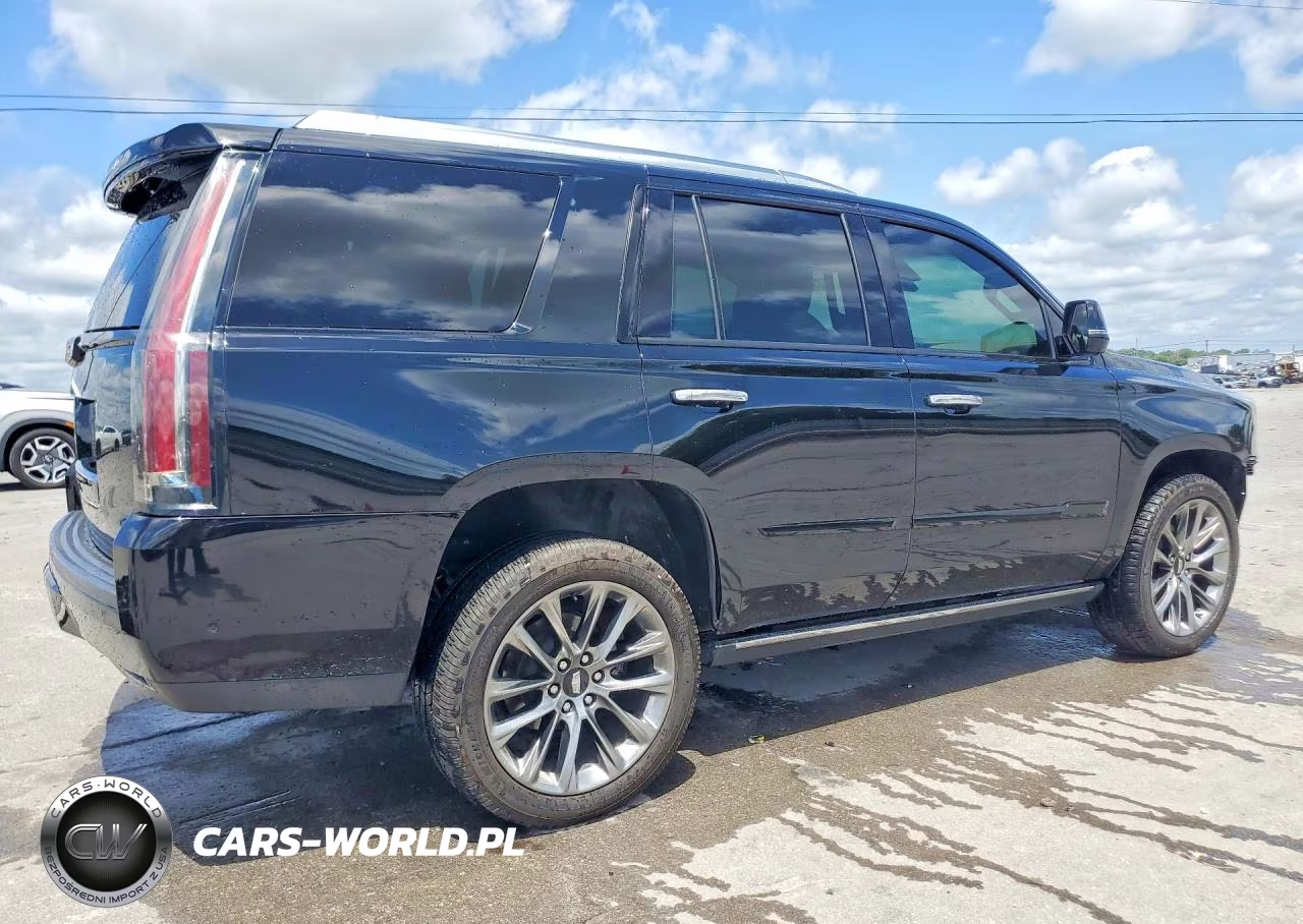 2019 Cadillac Escalade Platinum VIN:1GYS4DKJ3KR301770 - 3