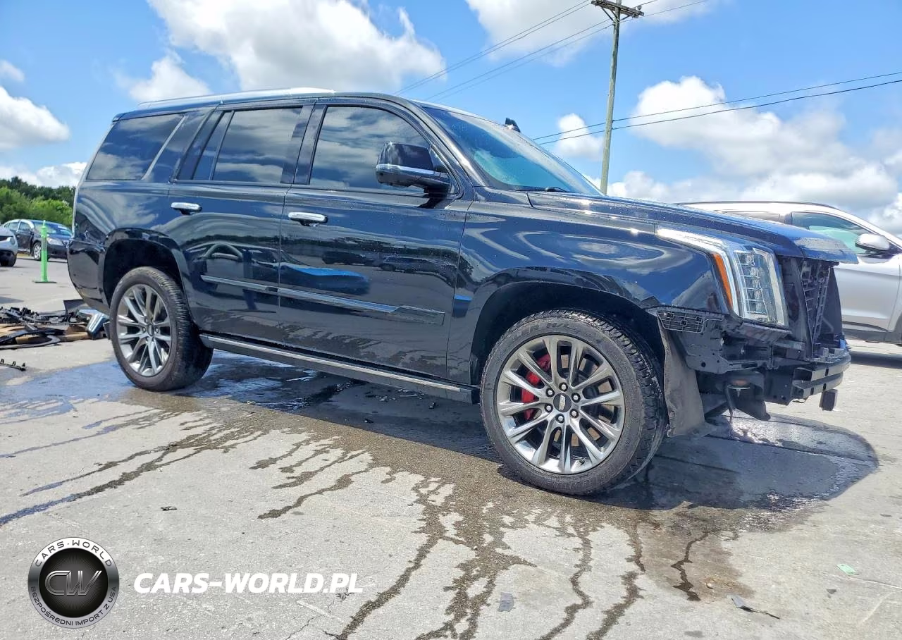 2019 Cadillac Escalade Platinum VIN:1GYS4DKJ3KR301770 - 4