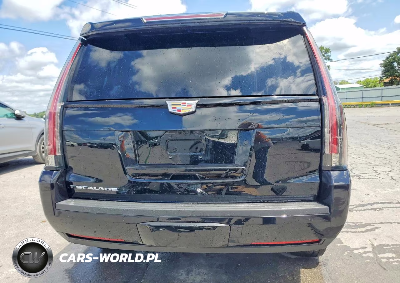 2019 Cadillac Escalade Platinum VIN:1GYS4DKJ3KR301770 - 6