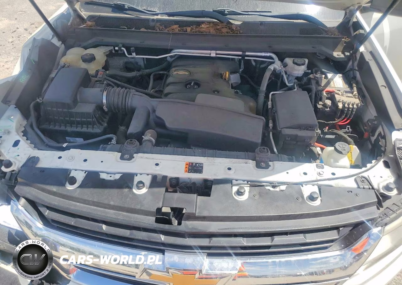 2019 Chevrolet Colorado VIN:1GCHSBEA7K1169925 - 11