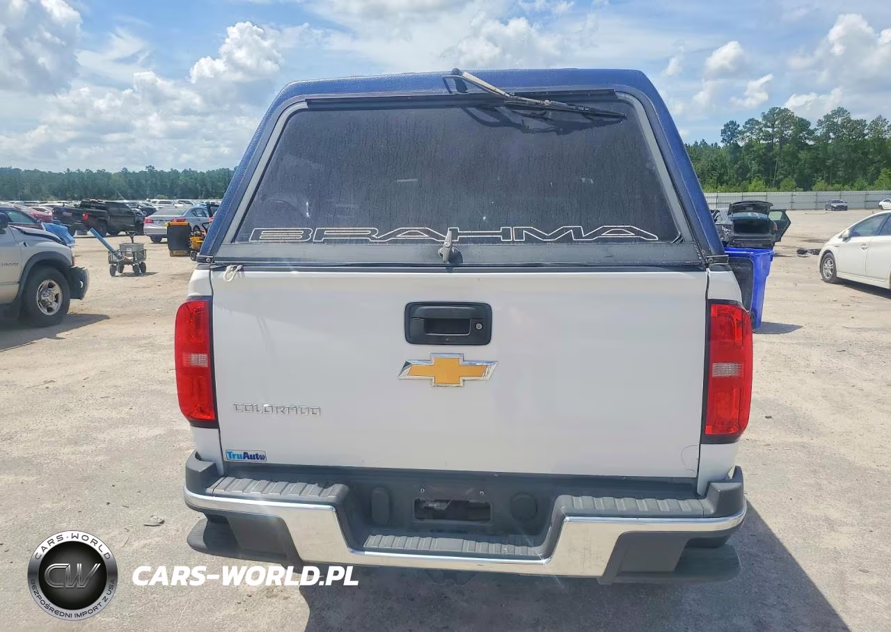 2019 Chevrolet Colorado VIN:1GCHSBEA7K1169925 - 6