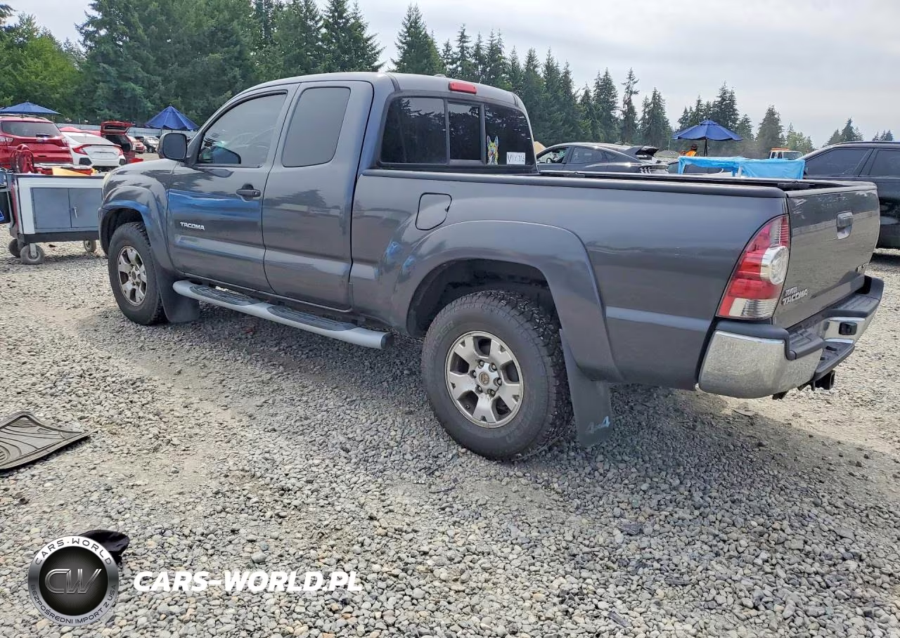 2010 Toyota Tacoma Access Cab VIN:5TEUU4EN1AZ731703 - 2