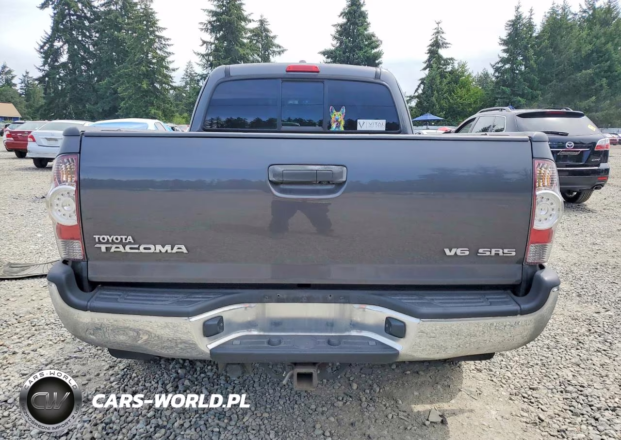 2010 Toyota Tacoma Access Cab VIN:5TEUU4EN1AZ731703 - 6