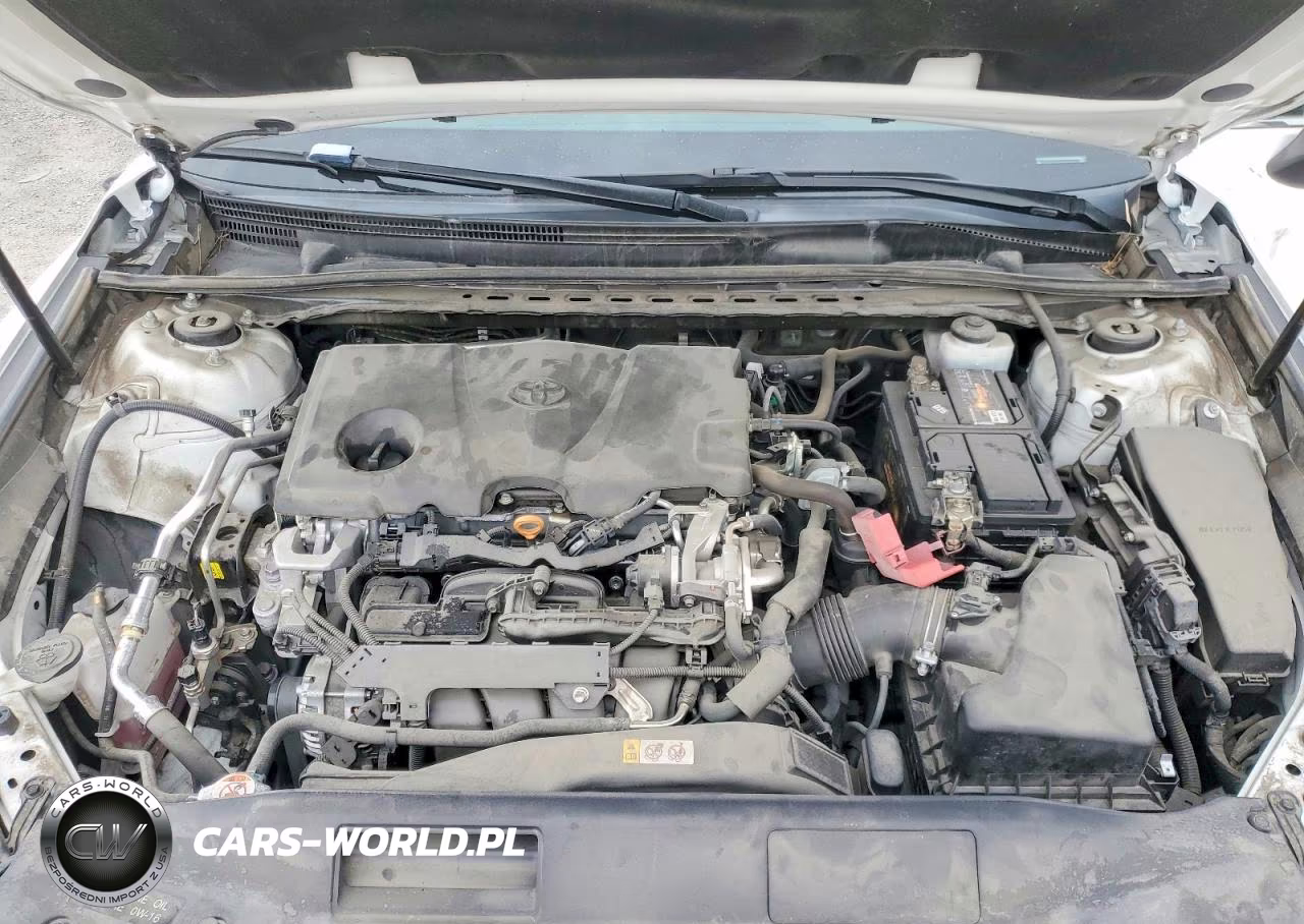 2019 Toyota Camry Le VIN:4T1B11HK5KU769571 - 11