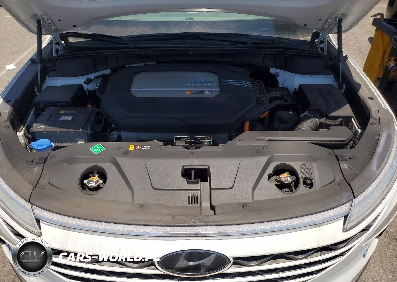 2021 Hyundai Nexo Limited VIN:KM8J84A66MU013515 - 11