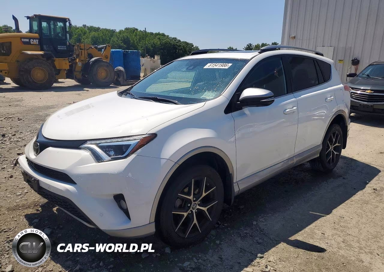 2018 Toyota Rav4 Se