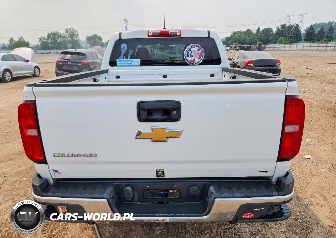 2020 Chevrolet Colorado VIN:1GCGSBEA1L1238296 - 6