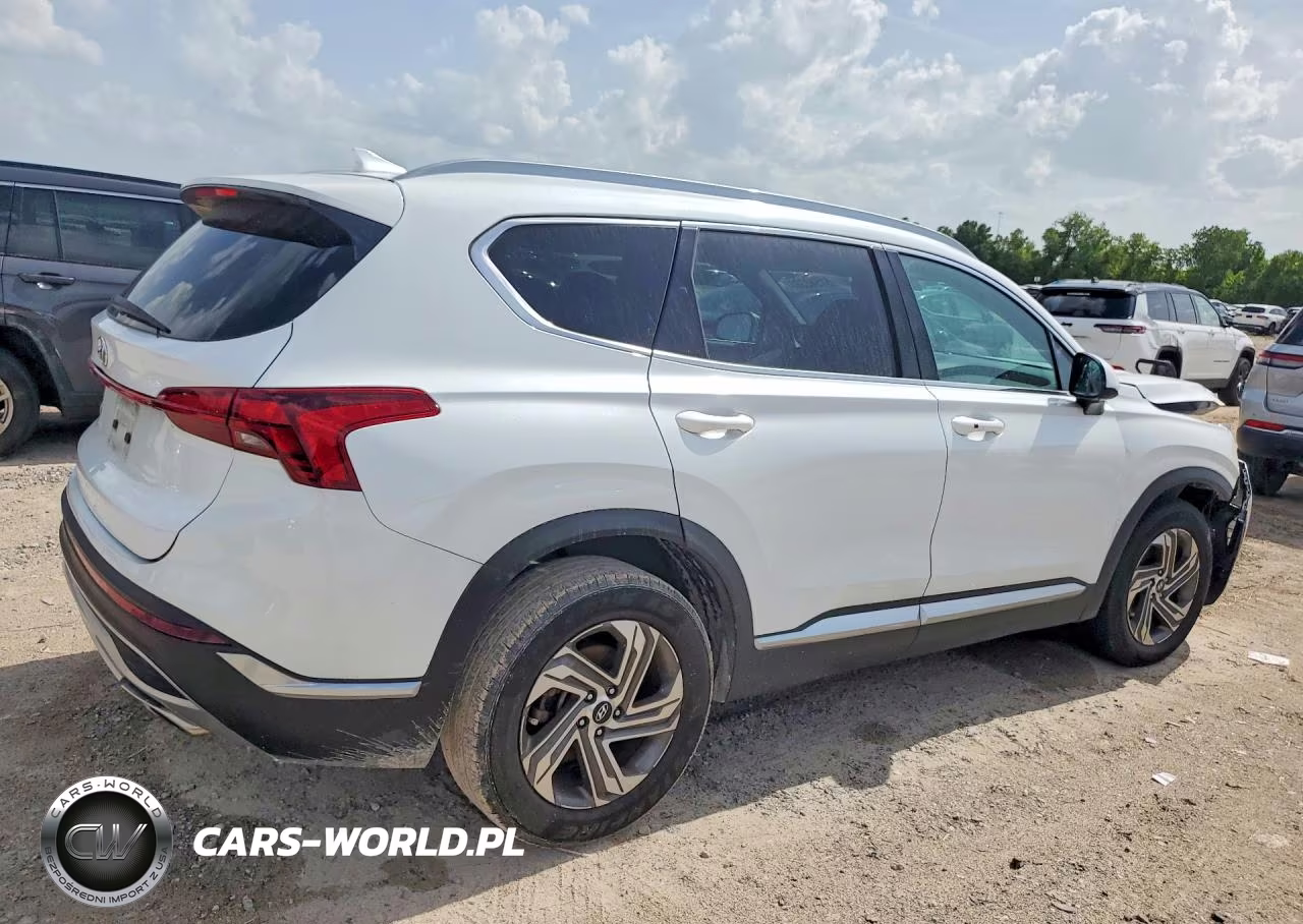 2021 Hyundai Santa Fe Sel VIN:5NMS24AJ8MH339872 - 3