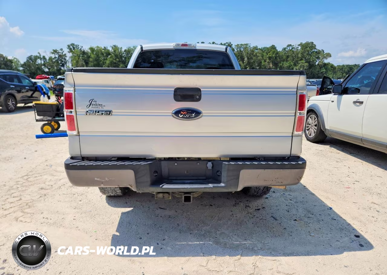 2009 Ford F150 VIN:1FTRF12W79KB52422 - 6