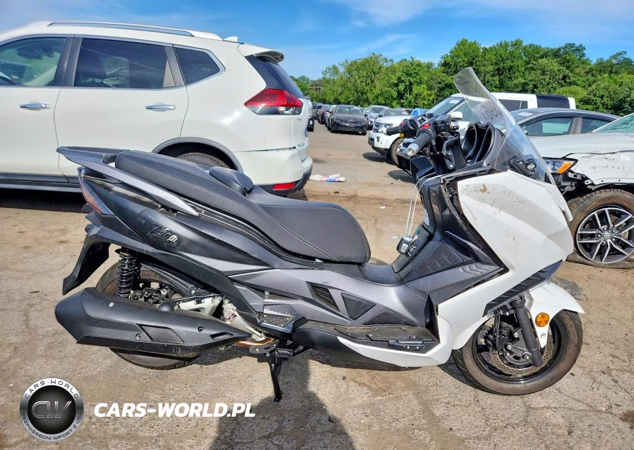 2025 Zhejri Scooter 300Cc – zdjęcie 1 z 9