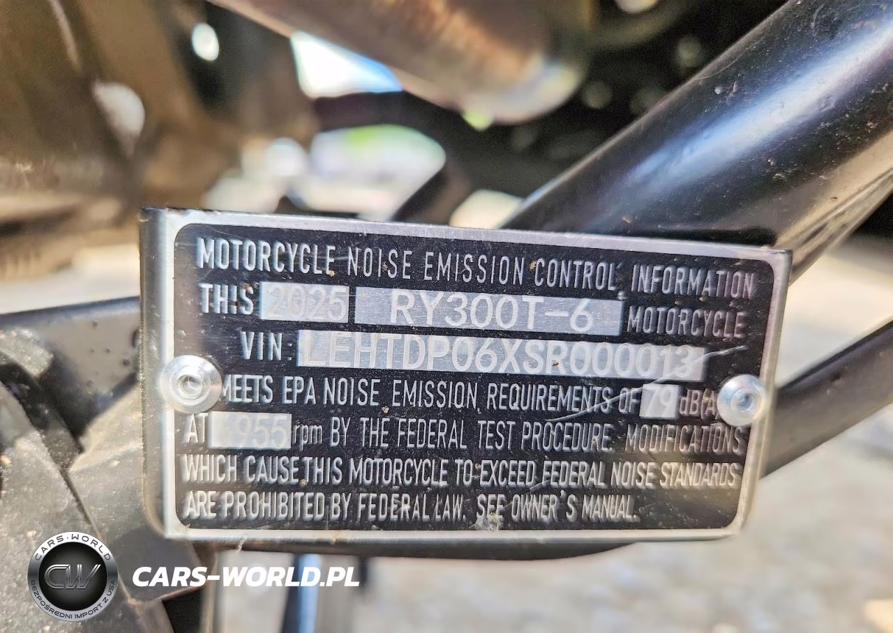 2025 Zhejri Scooter 300Cc VIN:LEHTDP06XSR000013 - 9