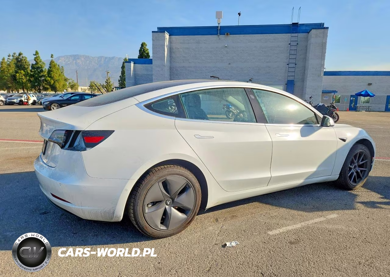 2020 Tesla Model 3 VIN:5YJ3E1EA5LF706148 - 3