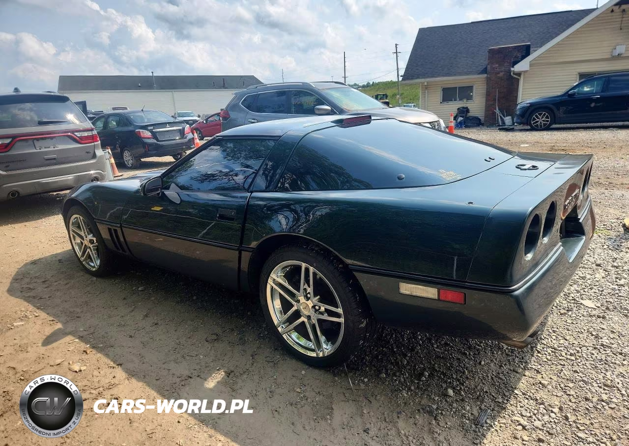 1990 Chevrolet Corvette VIN:1G1YY2387L5102890 - 2