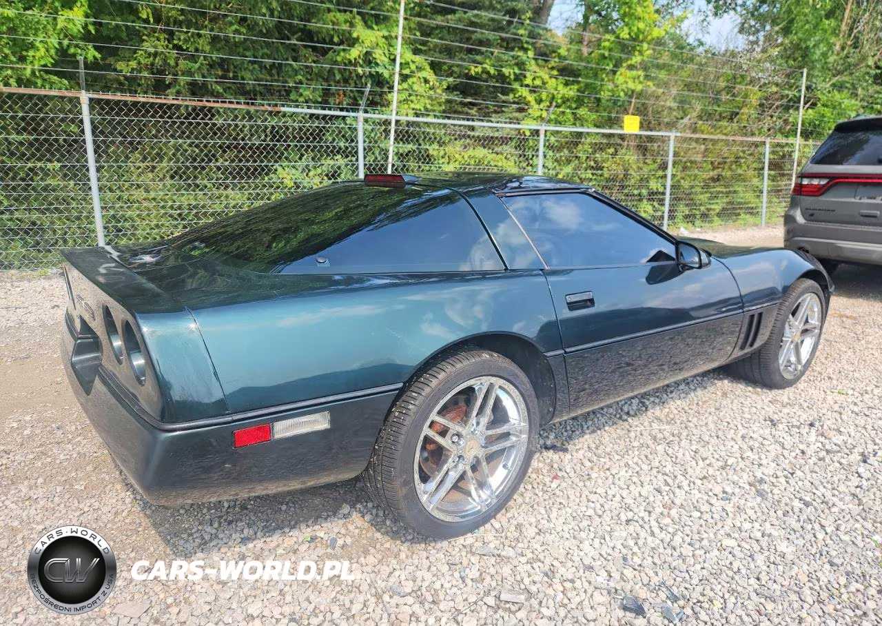 1990 Chevrolet Corvette VIN:1G1YY2387L5102890 - 3