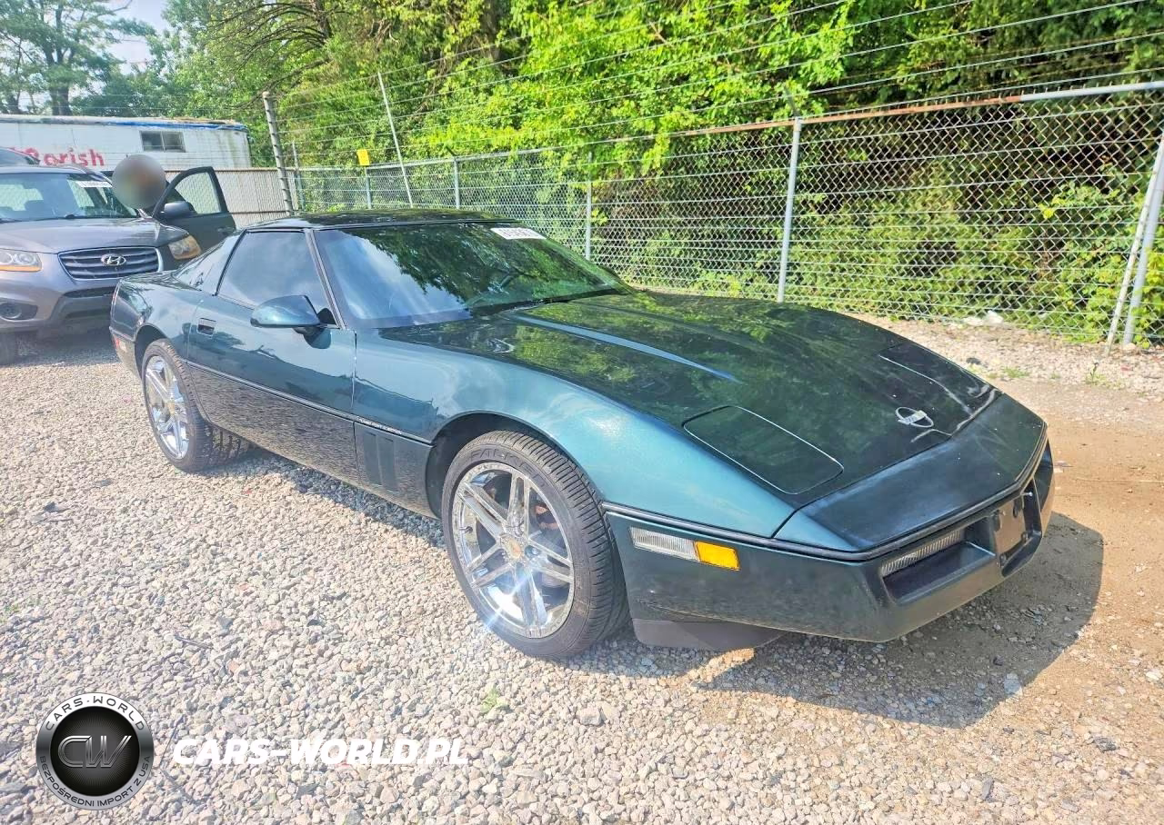 1990 Chevrolet Corvette VIN:1G1YY2387L5102890 - 4
