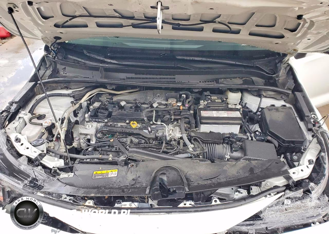 TOYOTA COROLLA LE VIN:JTDB4MEE8P3013225 - 11