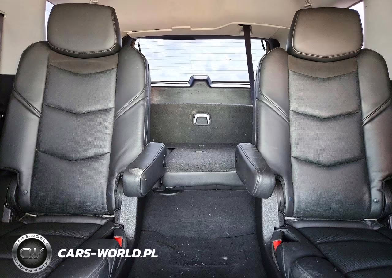2015 Cadillac Escalade Premium VIN:1GYS3NKJXFR649242 - 10