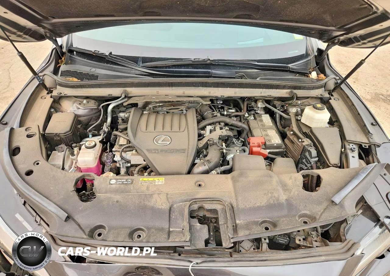 2024 Lexus Rx 350 F Sport Handling VIN:2T2BAMCAXRC052669 - 11