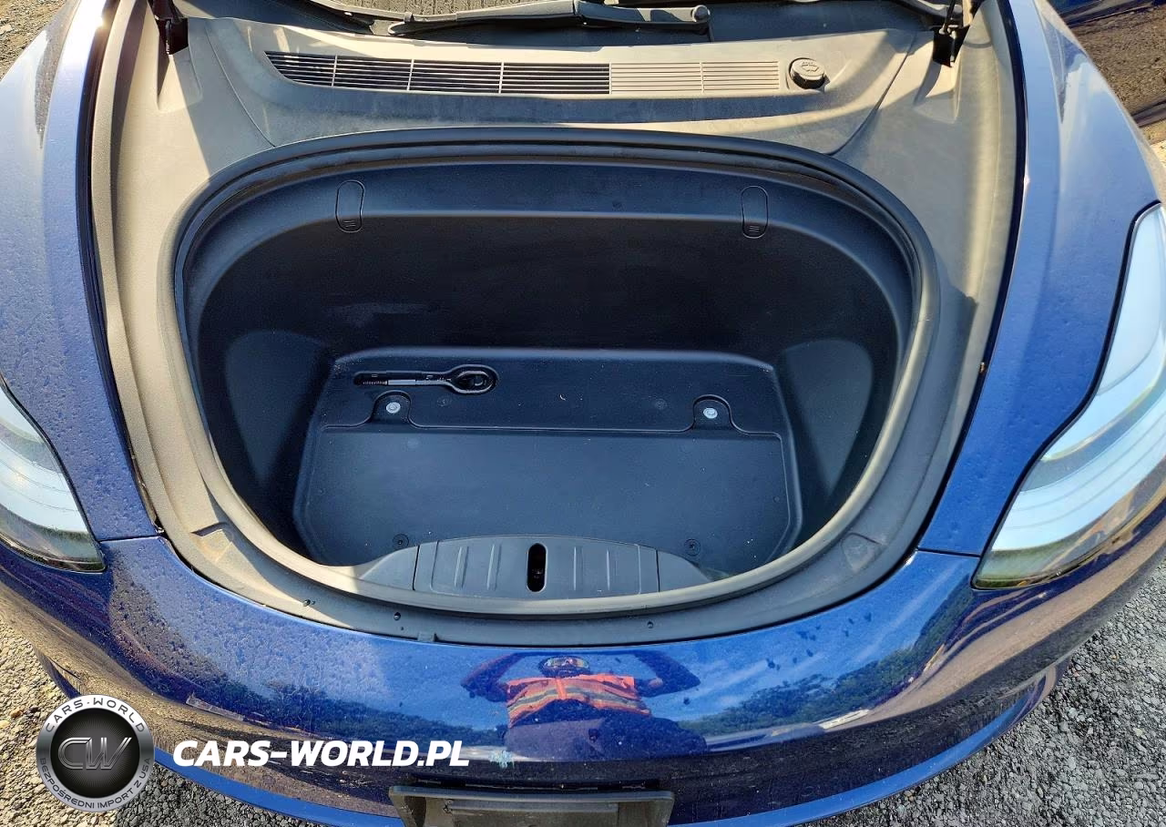 2019 Tesla Model 3 VIN:5YJ3E1EA3KF396774 - 11