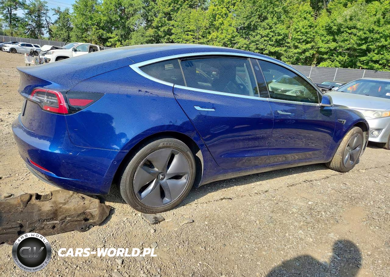 2019 Tesla Model 3 VIN:5YJ3E1EA3KF396774 - 3