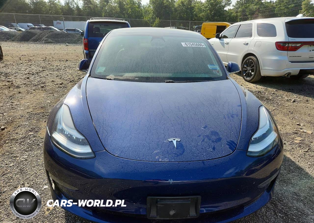 2019 Tesla Model 3 VIN:5YJ3E1EA3KF396774 - 5