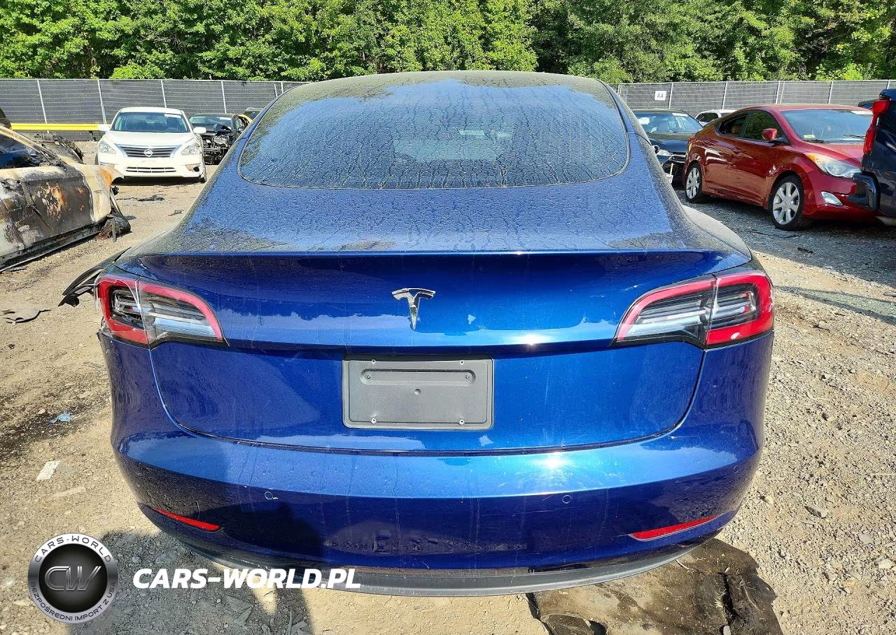 2019 Tesla Model 3 VIN:5YJ3E1EA3KF396774 - 6