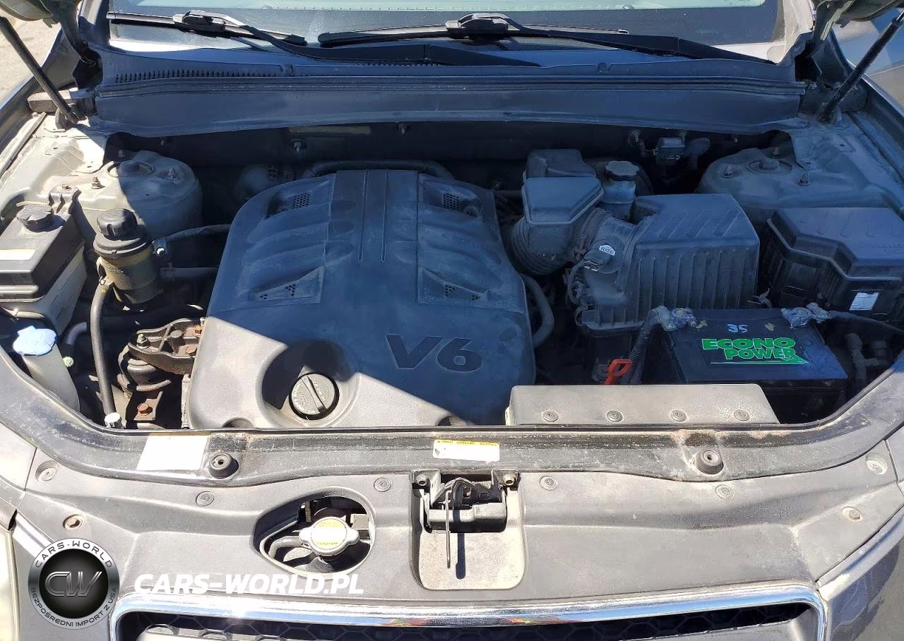 2009 Hyundai Santa Fe Se VIN:5NMSH73E09H276533 - 12