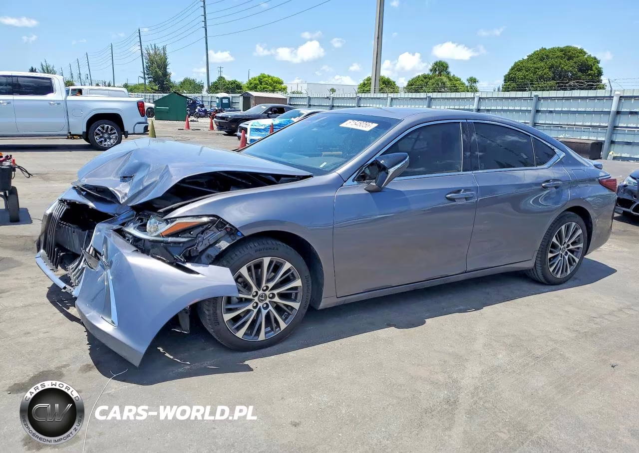 2019 Lexus Es 300H