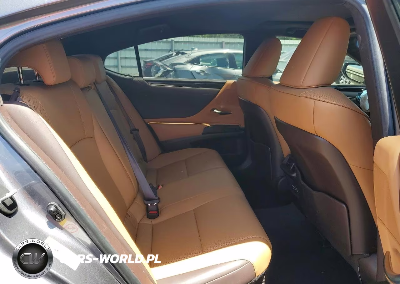 2019 Lexus Es 300H VIN:JTHB21B16K2012125 - 10