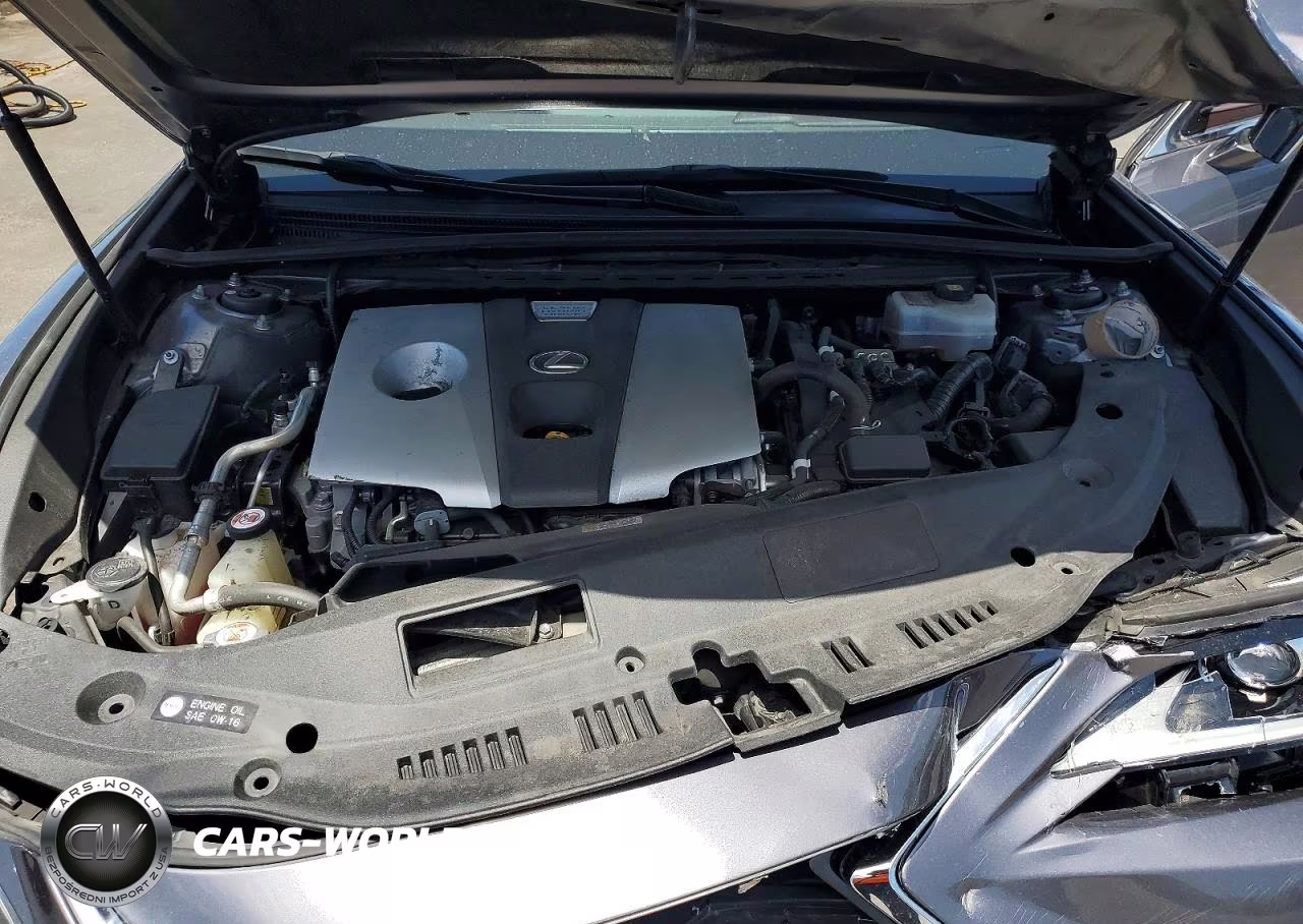 2019 Lexus Es 300H VIN:JTHB21B16K2012125 - 11