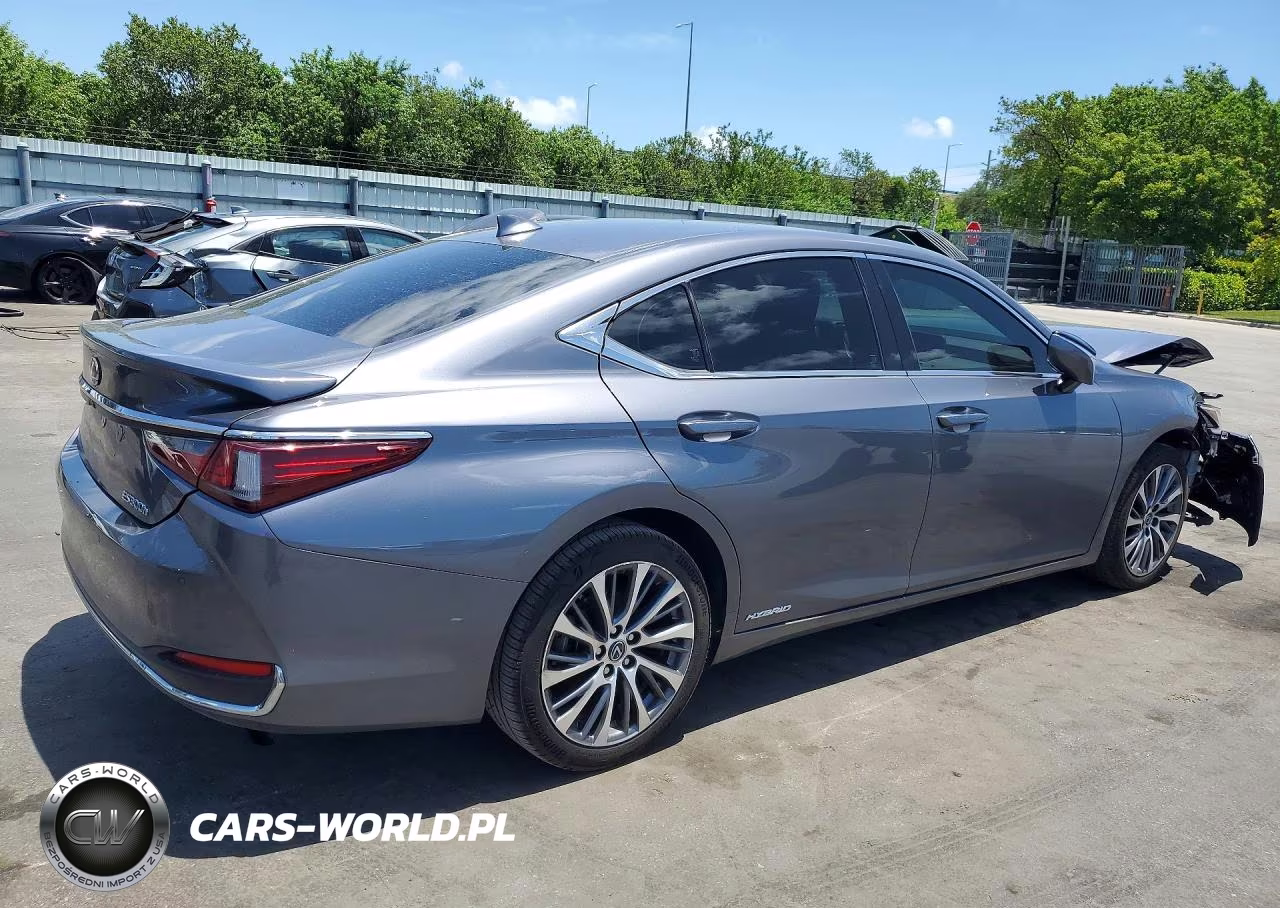 2019 Lexus Es 300H VIN:JTHB21B16K2012125 - 3