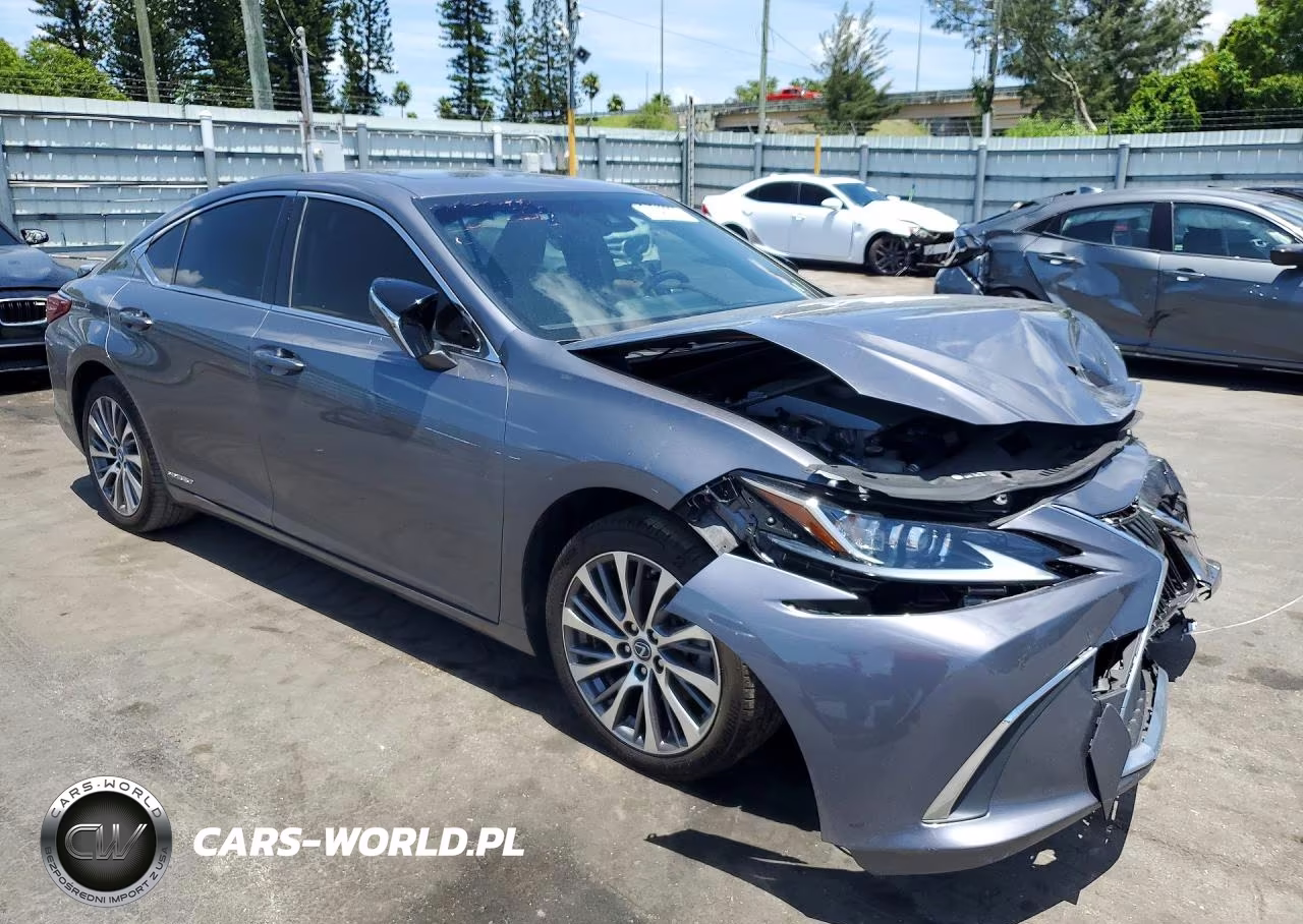 2019 Lexus Es 300H VIN:JTHB21B16K2012125 - 4