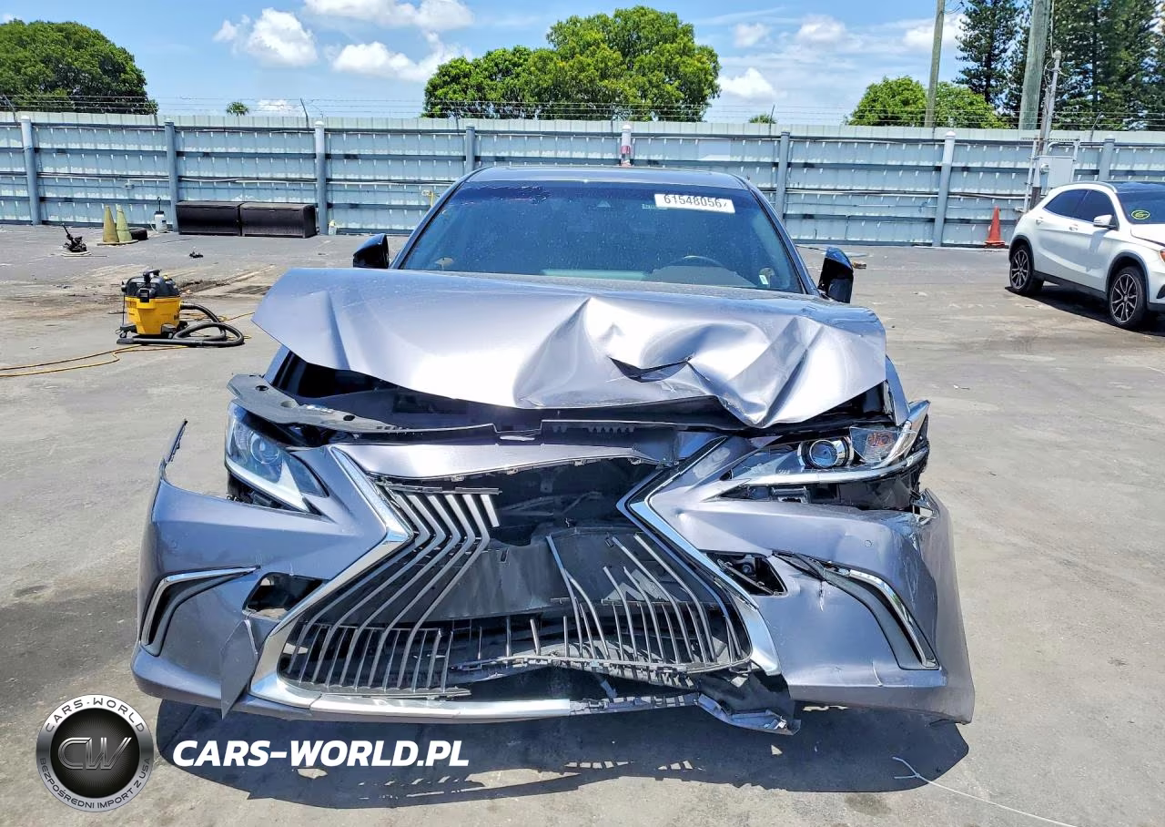 2019 Lexus Es 300H VIN:JTHB21B16K2012125 - 5
