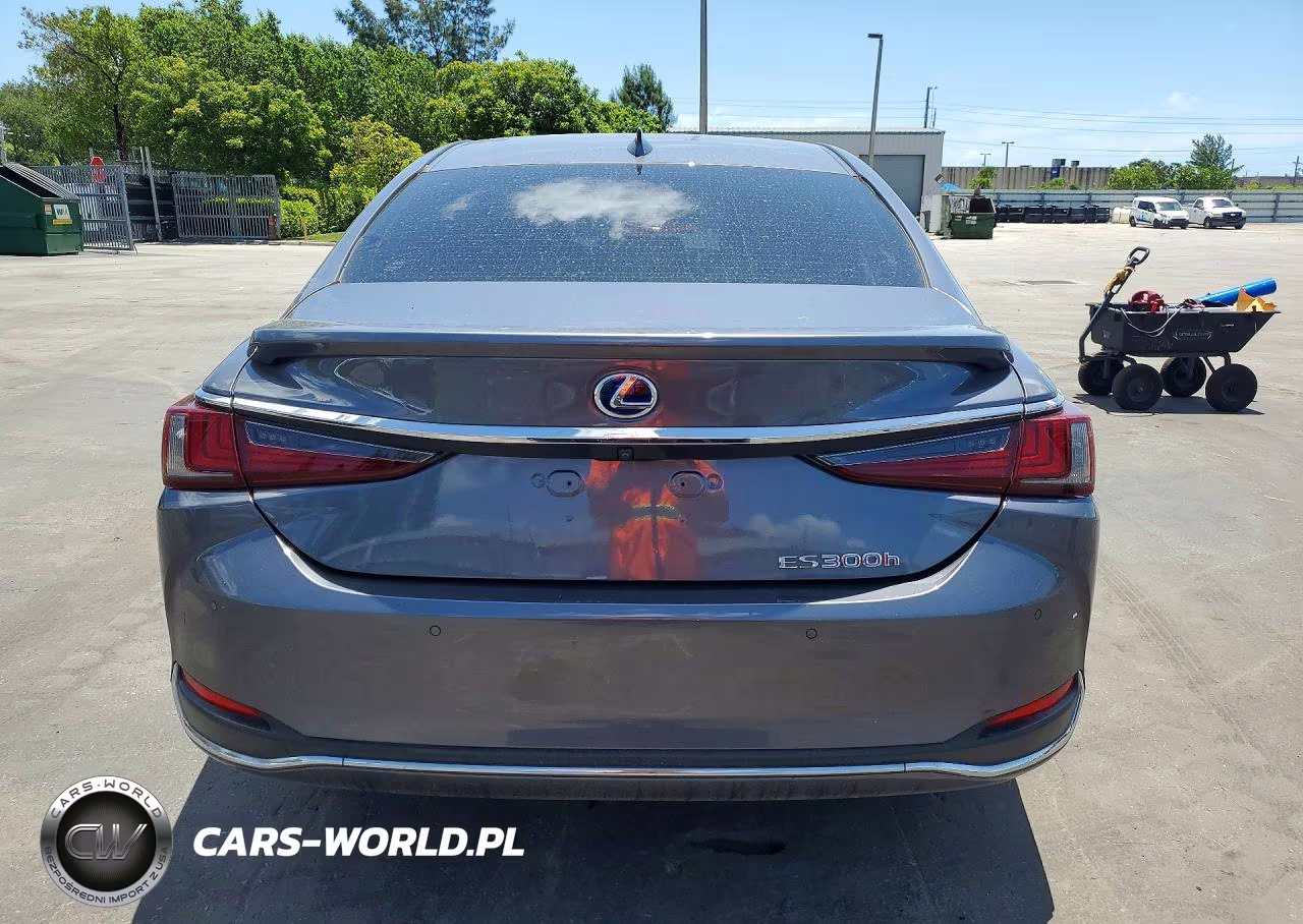 2019 Lexus Es 300H VIN:JTHB21B16K2012125 - 6