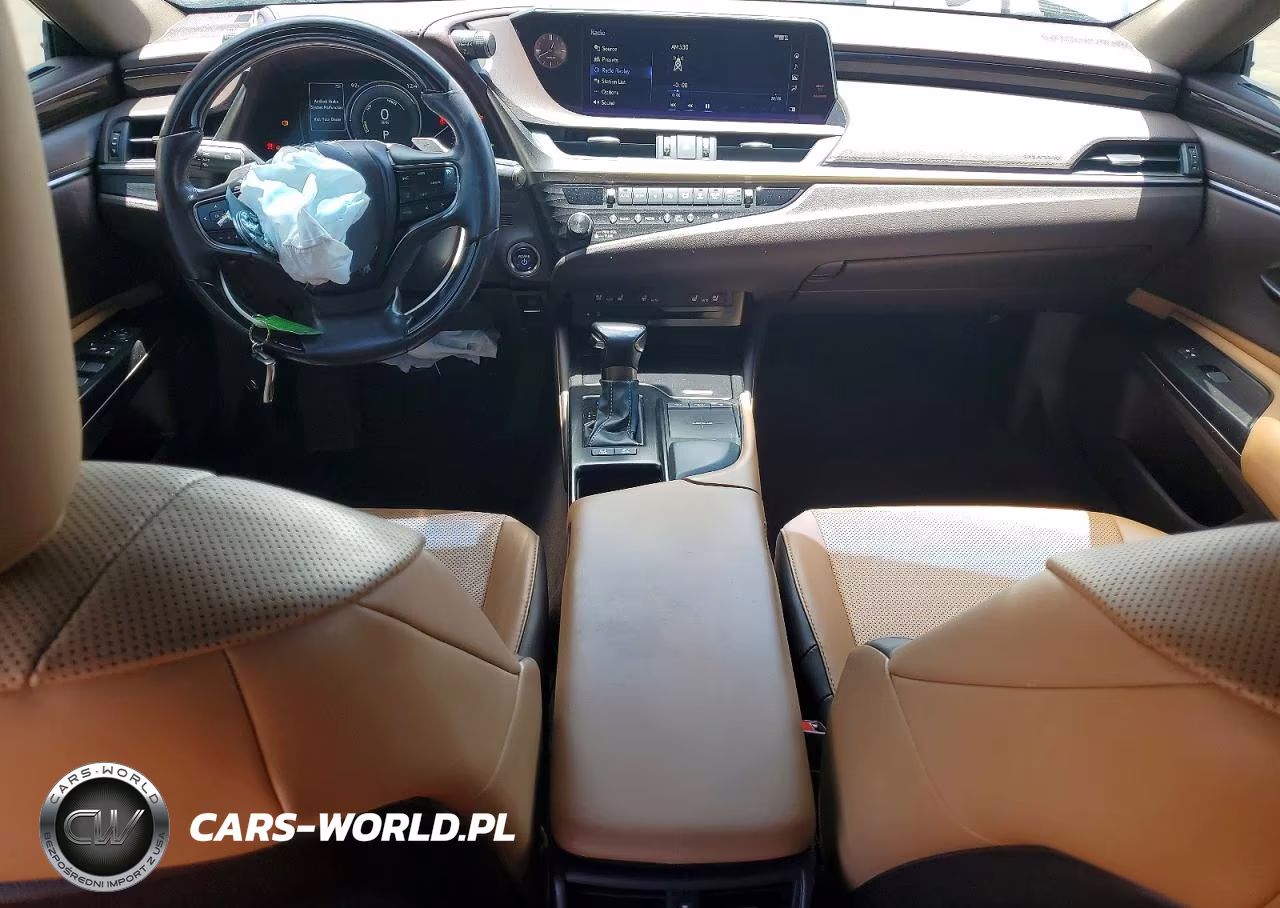 2019 Lexus Es 300H VIN:JTHB21B16K2012125 - 8