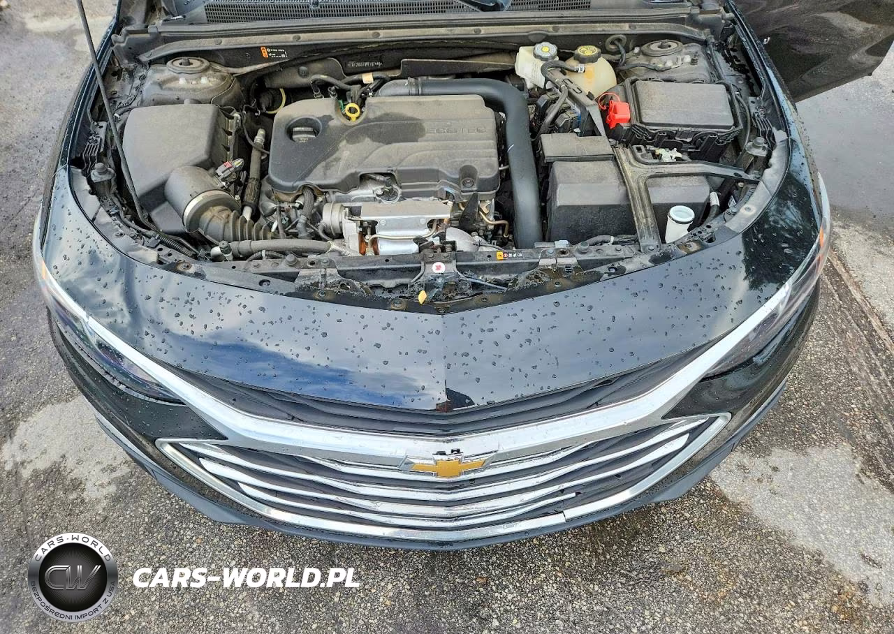 2023 Chevrolet Malibu Ls VIN:1G1ZB5ST9PF167446 - 11