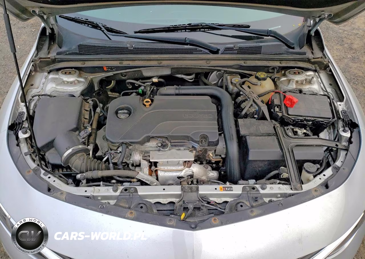 2019 Chevrolet Malibu Lt VIN:1G1ZD5ST4KF184173 - 11