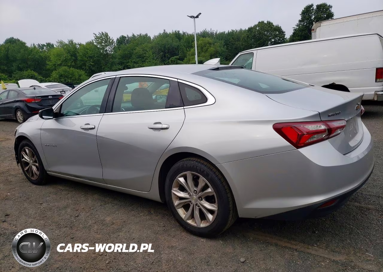 2019 Chevrolet Malibu Lt VIN:1G1ZD5ST4KF184173 - 2
